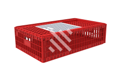 955-x-565-x-300